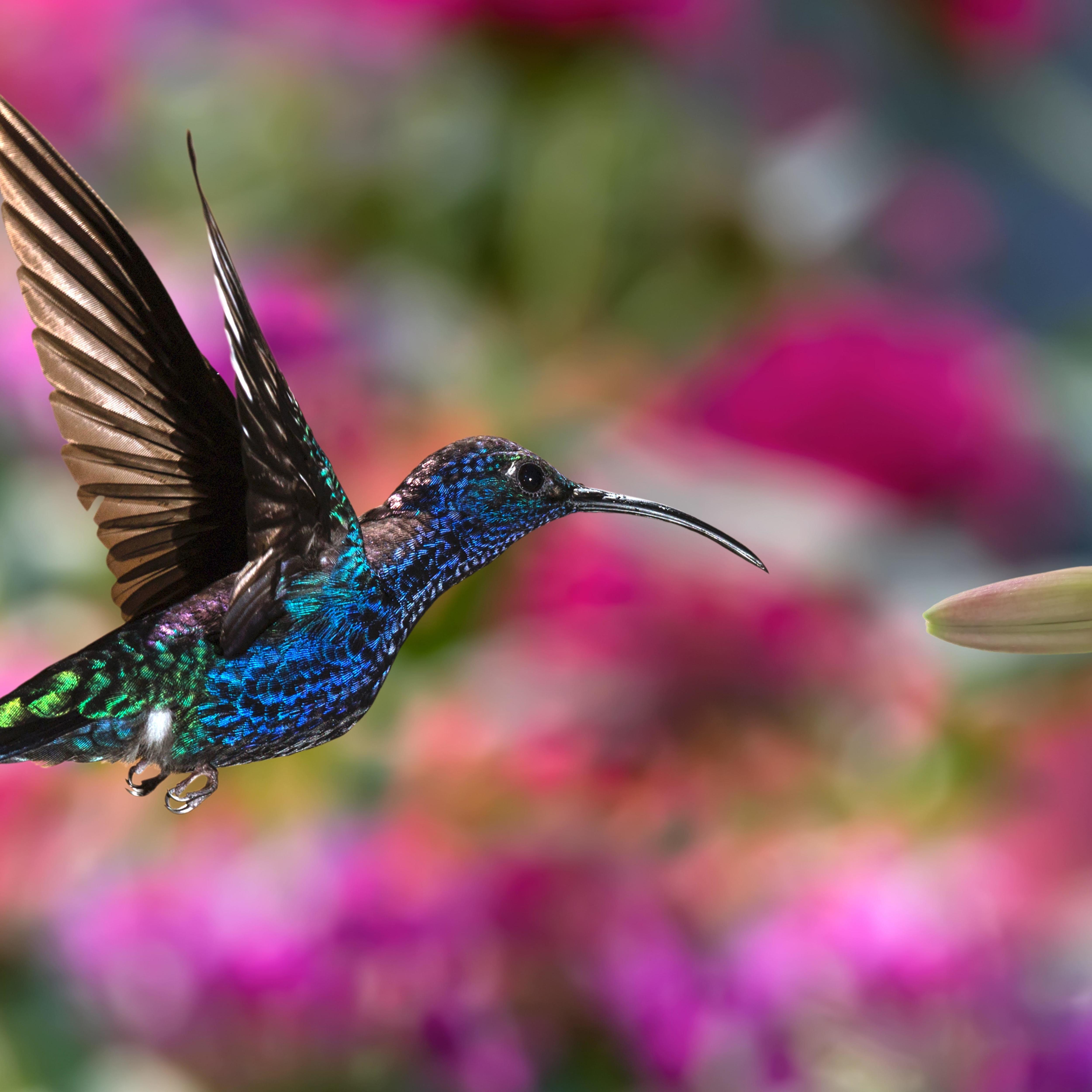 Brise-vue imprimé avec motifs - occultation forte 85% 100 m (100 cm) de hauteur 470 g/m² fabriqué en