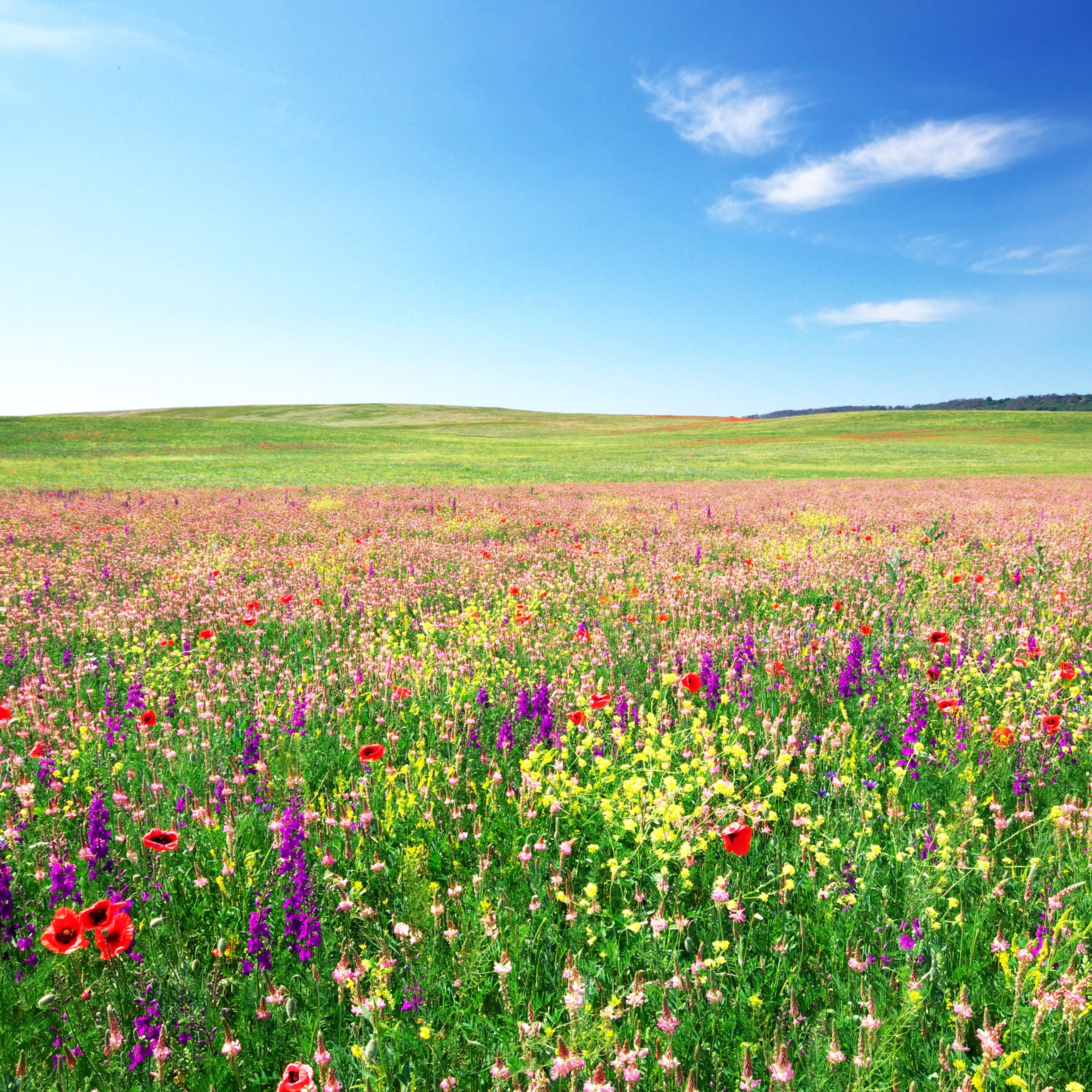 Brise-vue imprimé avec motifs - occultation forte 85% 150 m (150 cm) de hauteur 470 g/m² fabriqué en