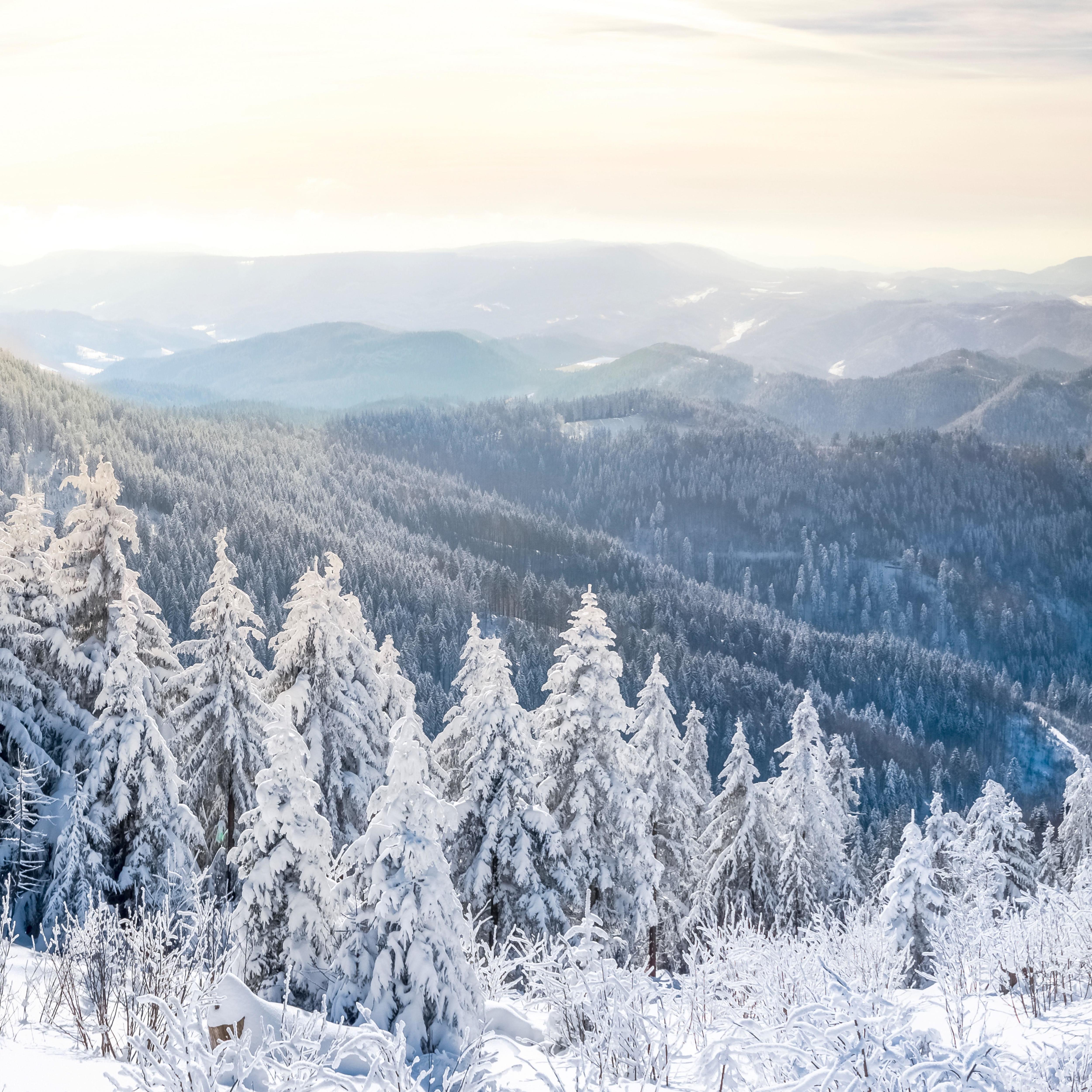 Brise-vue imprimé avec motifs - occultation forte 85% 150 m (150 cm) de hauteur 470 g/m² fabriqué en