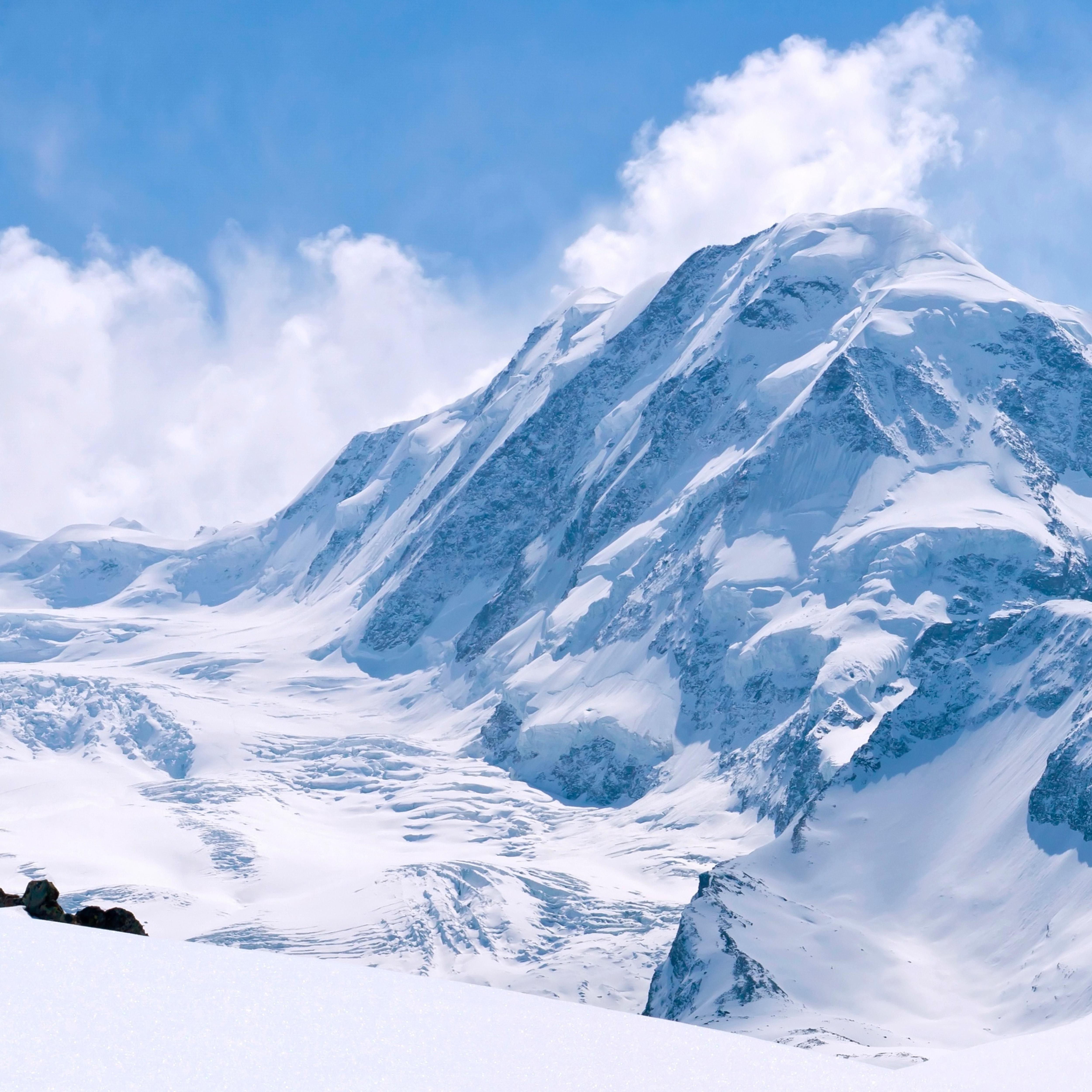 Brise-vue imprimé avec motifs - occultation forte 85% 100 m (100 cm) de hauteur 470 g/m² fabriqué en