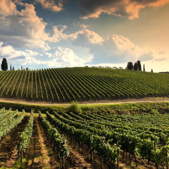 Brise-vue imprimé sur mesure | Brise-Vue.com