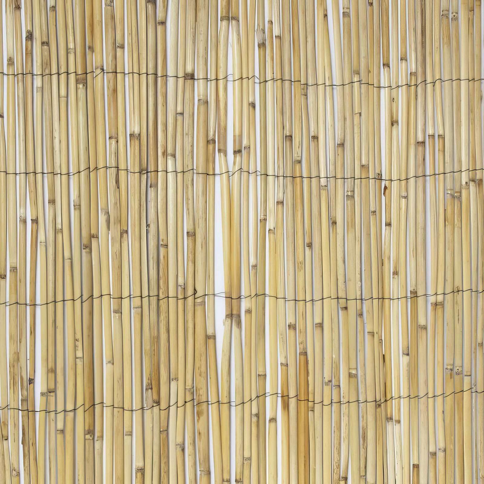 Canisse bambou, occultation légère, Idéal Garden H.1 x L.3 m