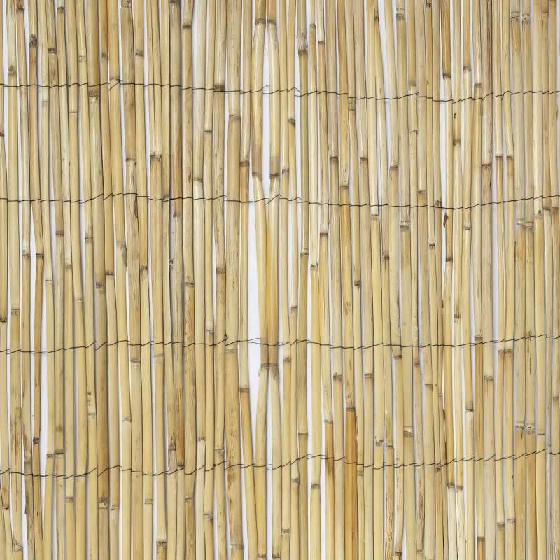 Canisse brise-vue en bambou naturel