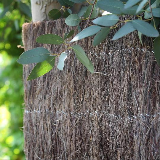 Natte (Brande) de Bruyère