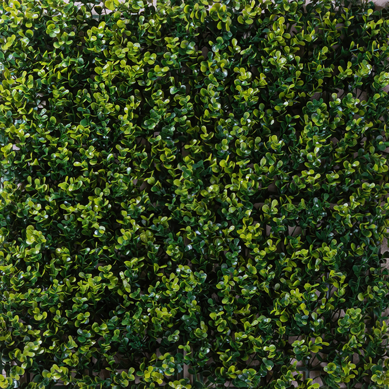 DECORATION DALLE X6 - BUIS - 50X50CM