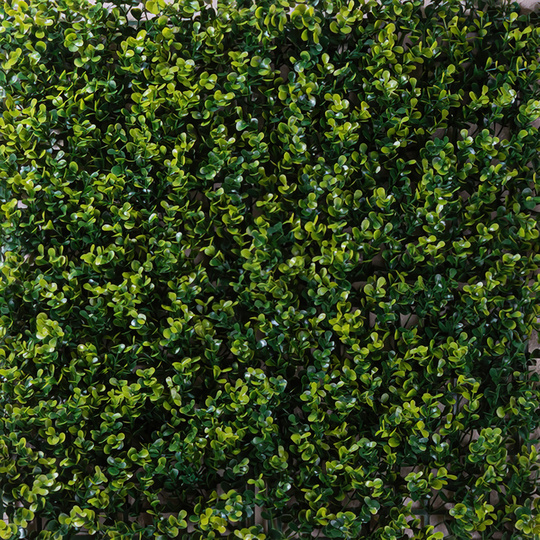 DECORATION DALLE X6 - BUIS - 50X50CM