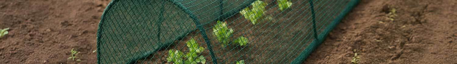 filet anti oiseau qui protège un potager