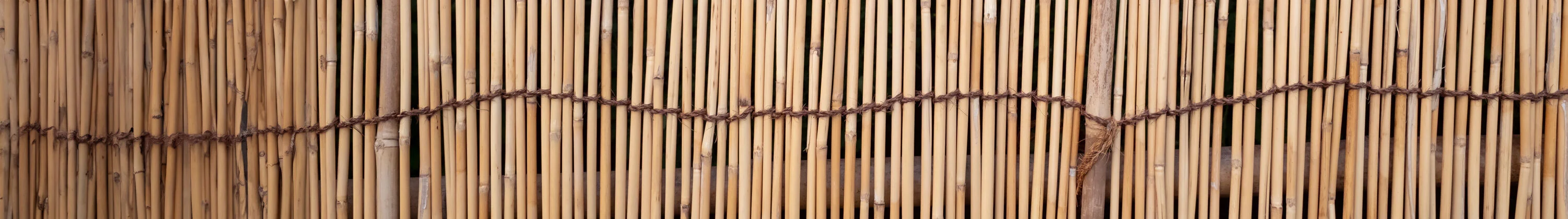 canisse sans grillage