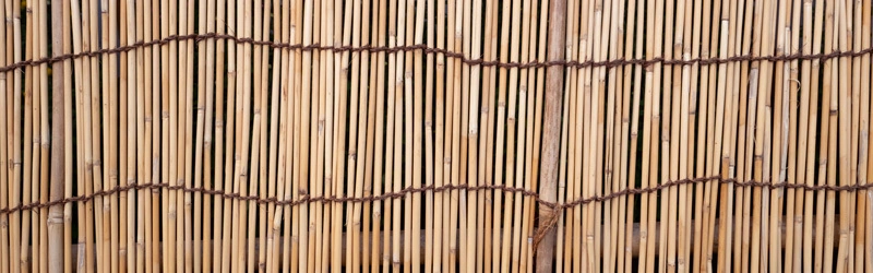 canisse sans grillage